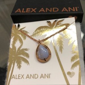 NWT Alex and Ani Blue Lace Agate Necklace